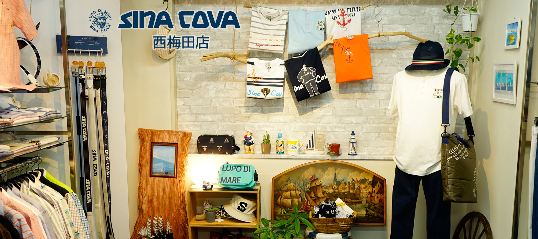 SINA COVA西梅田店限定! マリン雑貨販売のお知らせ - SINA COVA