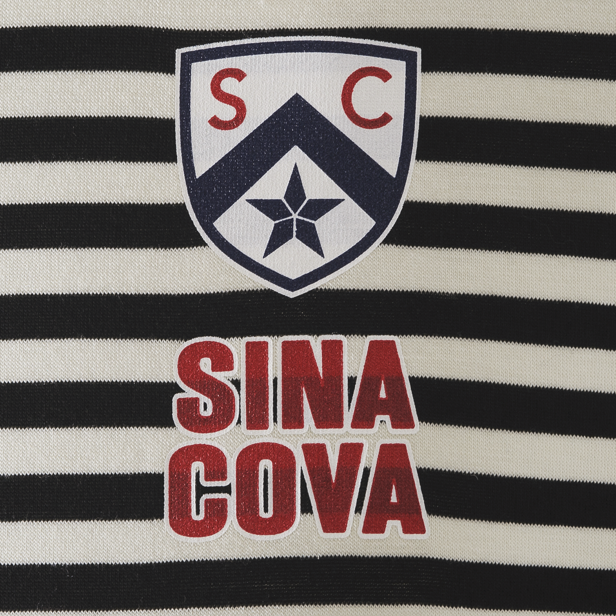 【公式】シナコバ (SINA COVA) ボーダー柄 タートルネック 長袖Tシャツ ユニセックス(男女兼用) 23250020