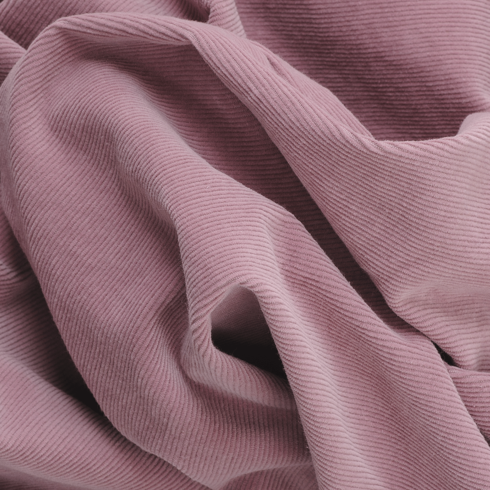 ノータックテーパードパンツ 23215030