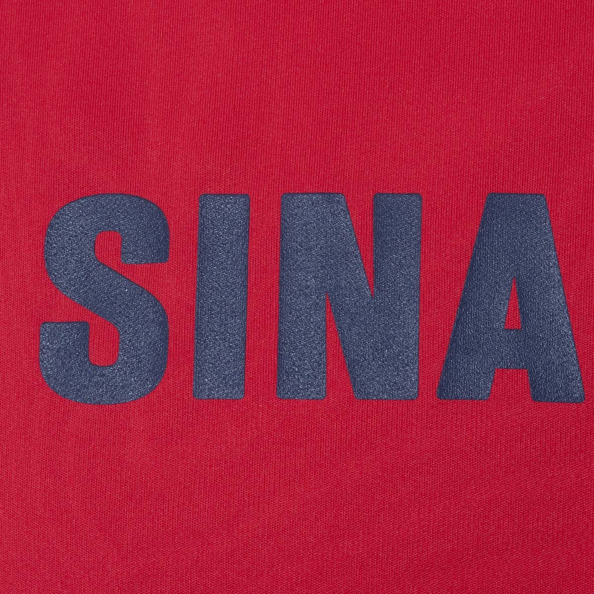 【アウトレット】シナコバ (SINA COVA)ハイネックTシャツ 21150560