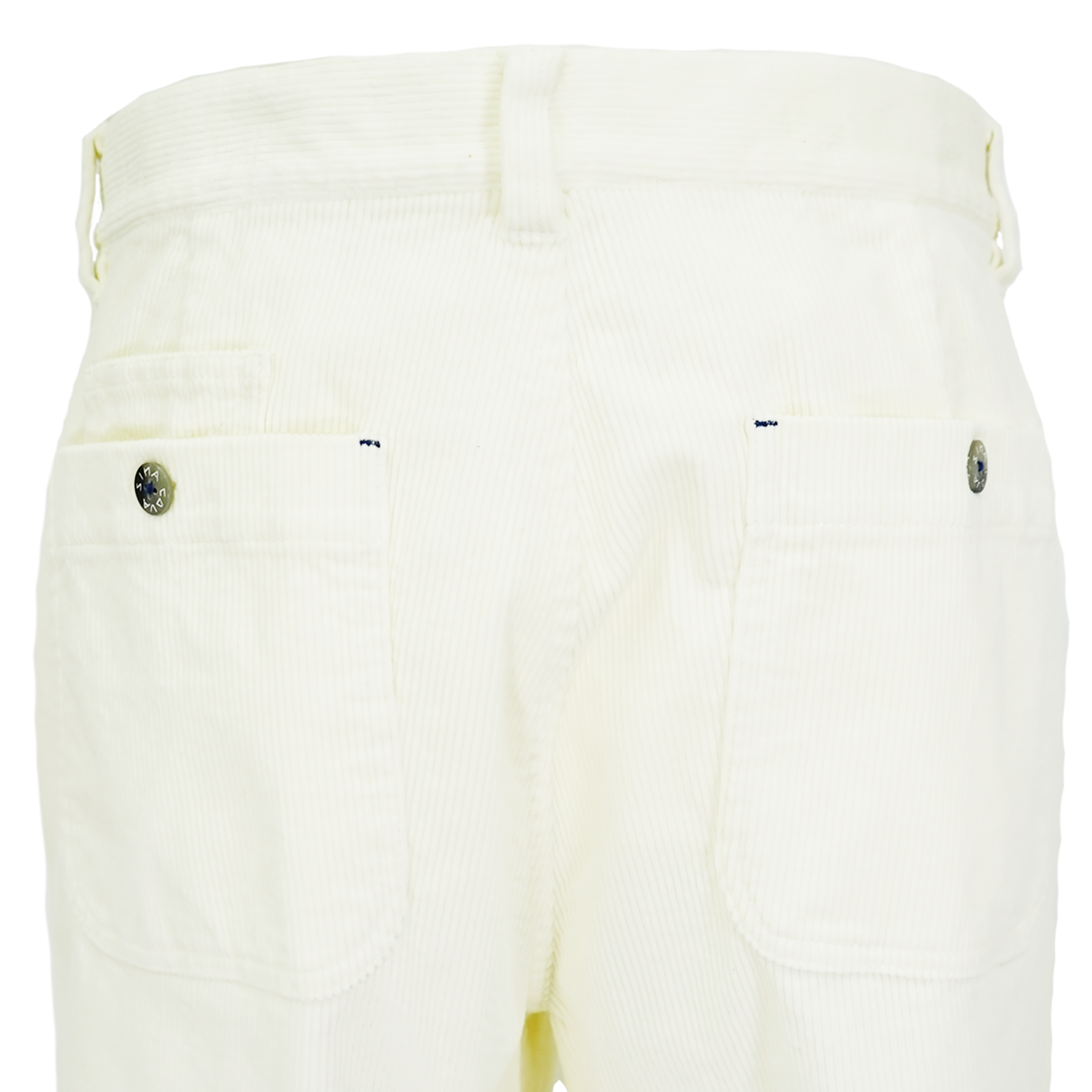 SINA COVA Pleated Pants 22225030