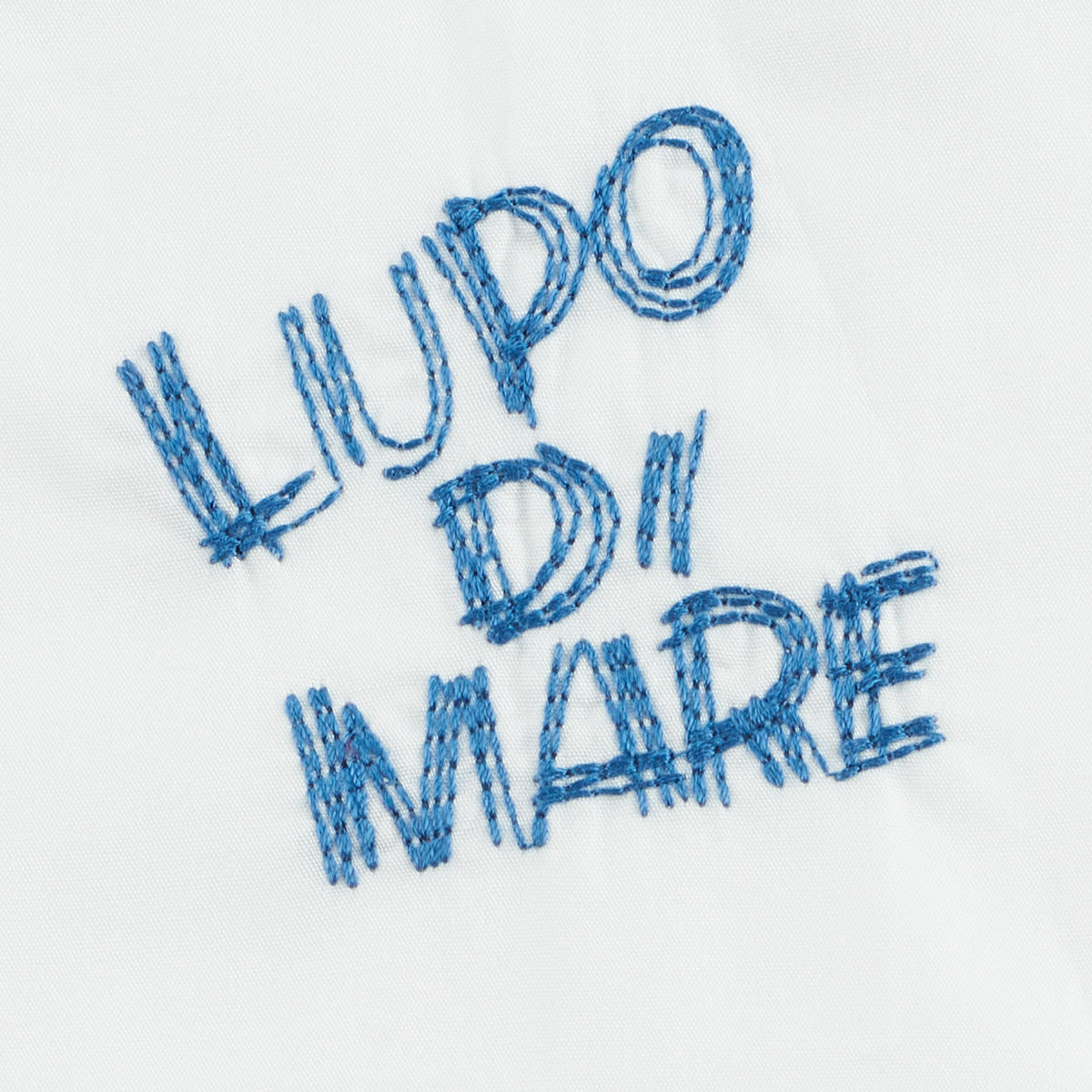 【アウトレット】シナコバ （SINA COVA） 長袖ボタンダウンシャツ　22124020