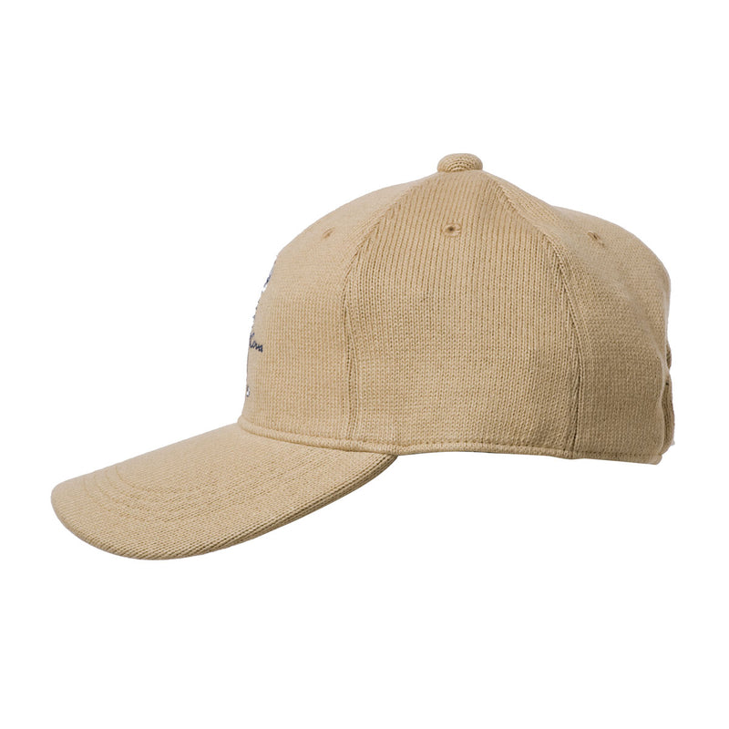 Baseball Cap 18277780